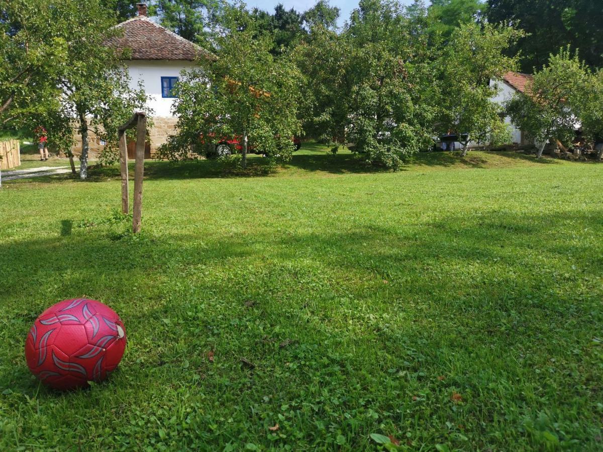 Guča Stara Etno Kuca Radonjic 빌라 외부 사진